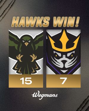 Image post by @rocknighthawks on Instagram