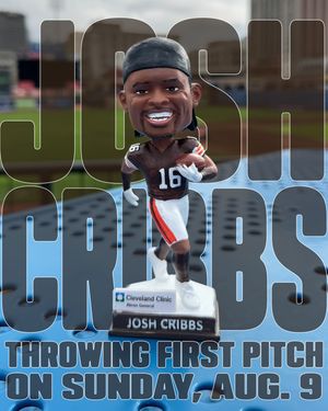 Image post by @akronrubberducks on Instagram