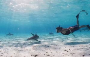 Image post by @reddigitalcinema on Instagram
