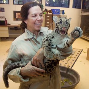 Image post by @sandiegozoo on Instagram