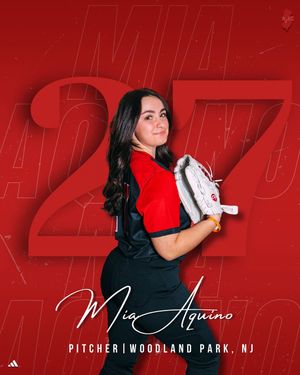 Image post by @runsoftball on Instagram