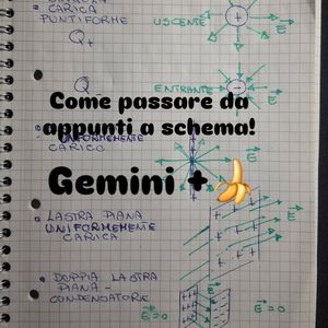 Image post by @la_prof_breccia on Instagram