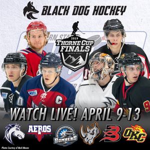 Image post by @BDEHockey on Twitter