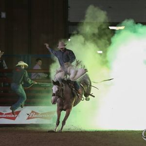 Image post by @american_royal on Instagram