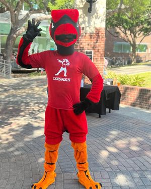 Image post by @uiw_athletics on Instagram