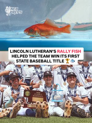 Image post by @nebpreps on Instagram