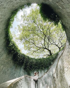Image post by @vsco on Instagram