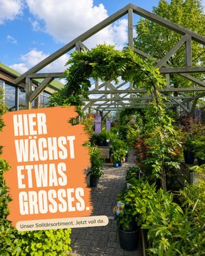 Image post by @oldenburgerwohngarten on Instagram
