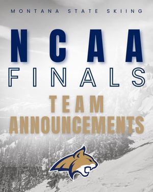 Image post by @msubobcatskiing on Instagram