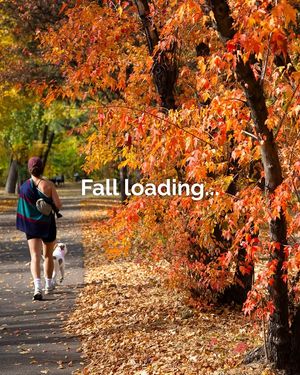 Image post by @mplsdtparks on Instagram