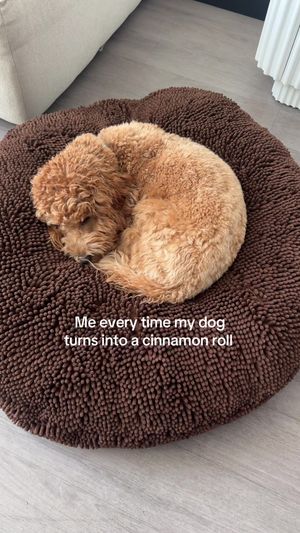 Video post by @tedflixnchill on TikTok