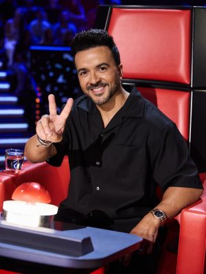 Image post by @luisfonsi on Instagram