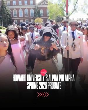 Image post by @hbcubuzz on Instagram