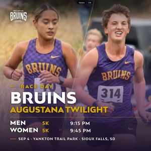 Image post by @bubruins on Instagram