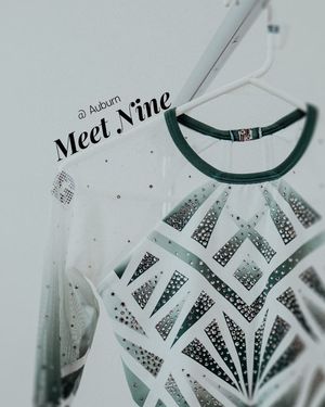 Image post by @msu_gymnastics on Instagram