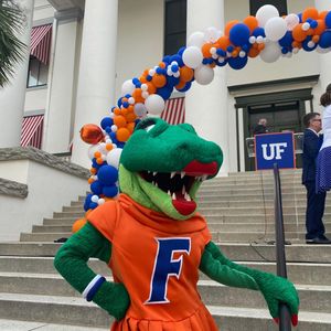 Image post by @albertathegator on Instagram