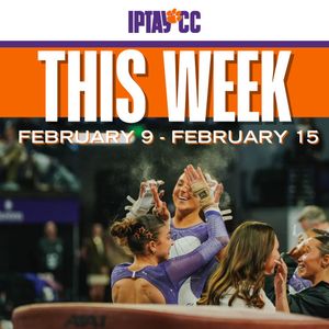 Image post by @iptaycc on Instagram