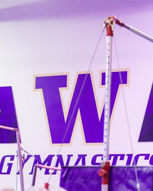 Image post by @uwgymnastics on Instagram