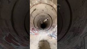Video post by @redbullusa on YouTube