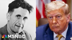 Video post by @msnbc on YouTube