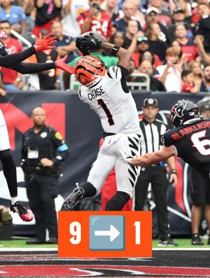 Image post by @bengals on Instagram
