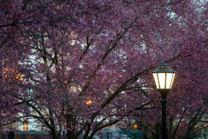 Image post by @udelaware on Instagram