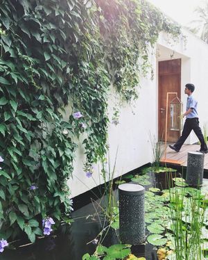 Image post by @kirstenalana on Instagram