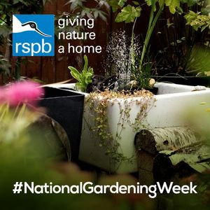 Image post by @rspb on Instagram