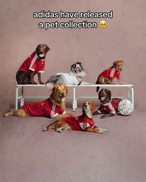 Video post by @skysports on TikTok