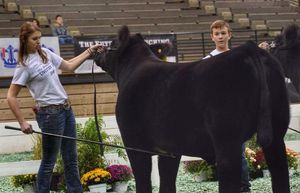 Image post by @american_royal on Instagram