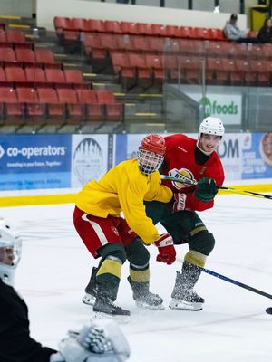 Image post by @bchlkings on Instagram