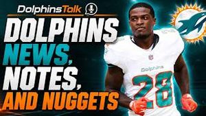 Video post by @dolphinstalk on YouTube