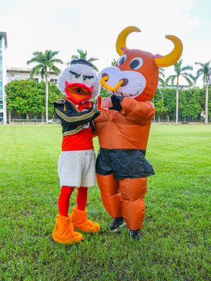 Image post by @um_sebastian on Instagram