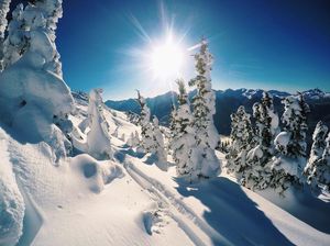 Image post by @whistlerblackcomb on Instagram