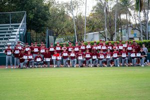 Image post by @bcbirdball on Instagram