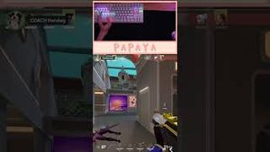 Video post by @artisanpapaya on YouTube