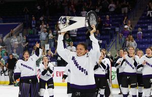 Image post by @BlackGirlHockey on Twitter