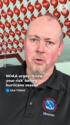 Video post by @usatoday on TikTok