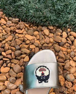 Image post by @pantudog on Instagram