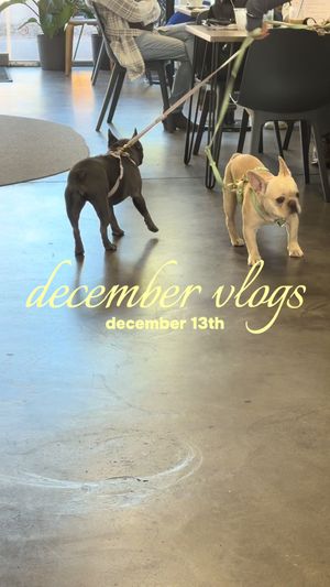 Video post by @lexy.meyers on TikTok