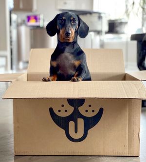 Image post by @petco on Instagram