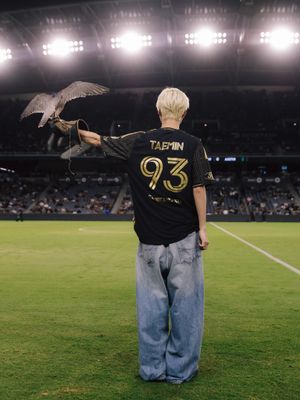 Image post by @lafc on Instagram
