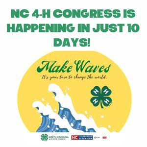 Image post by @northcarolina4h on Instagram
