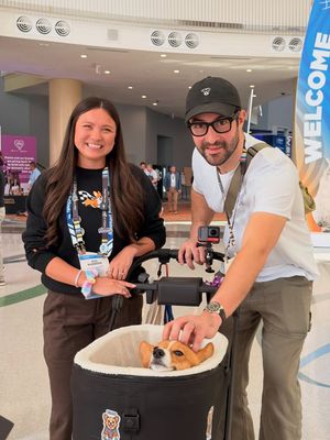 Image post by @ziggy_thecorg on Instagram