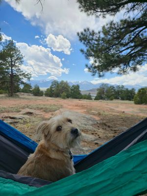 Image post by @enohammocks on Instagram