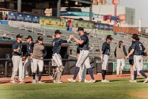 Image post by @saubees on Instagram