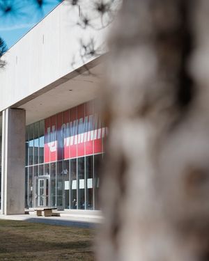 Image post by @davis_shoots_stuff on Instagram