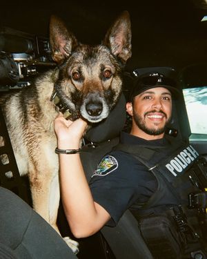 Image post by @palmbaypd on Instagram