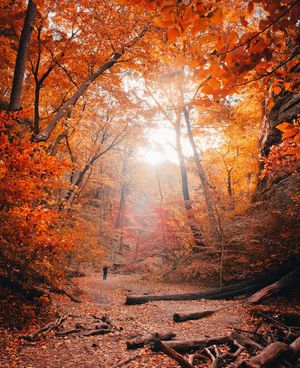 Image post by @kyle_petersen21 on Instagram