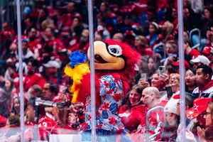 Image post by @Caps_Slapshot on Twitter